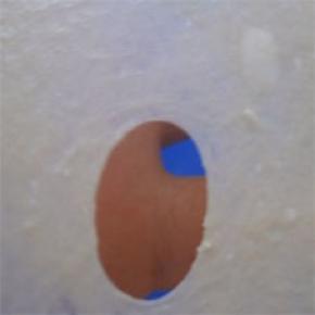 加入黄油，继续揉至完全阶段(能抻出透明且结实的薄膜，洞口光滑无锯齿）；