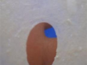 加入黄油，继续揉至完全阶段(能抻出透明且结实的薄膜，洞口光滑无锯齿）；