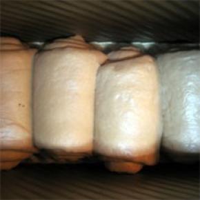 放入吐司模中，盖上保鲜膜，放温暖处发酵；