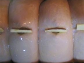 表面刷蛋液。烤箱预热180度，下层，烤35分钟； 上色后及时盖锡纸 ； 
温度和时间仅供参考，要根据自已的烤箱来调整；