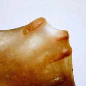 取一小块面团，慢慢用手撑开，形成不易破的薄膜