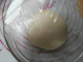 放入容器盖上保鲜膜放在25-28度的环境中进行基础发酵