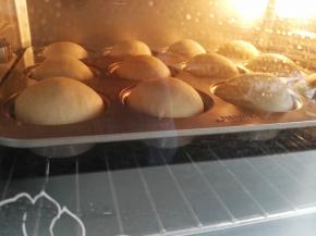 放入烤箱发酵，烤箱底层放一盘热水（参考温度38左右湿度约75%），最终发酵至2倍大