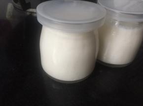 吉利丁片拌入自制酸奶中，忘记拍照了