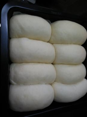 擀成椭圆形，卷起，排入烤盘，放入烤箱二次发酵至两倍左右(注意发酵时下面要放盆热水)