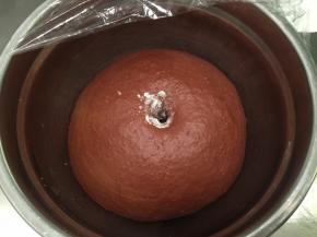 手沾面粉插入面团，不塌陷不回缩即发酵完成