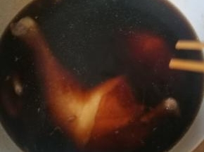 烧开后，水不够就再加点，尝尝味道，蚝油不要给少了，适量加点盐，生抽，老抽，然后，这里有个小技巧，利用砂锅的保温性，不急着吃，就焖，烧开后，关火，30分钟后再烧开 关火焖，如此反复个3或4次