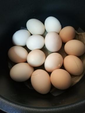 焖好的鸡蛋都熟了，纸巾上的水分应该也干了