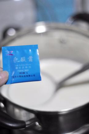 加入一部分牛奶，将酸奶菌粉分次倒入。