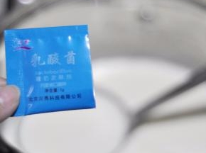 加入一部分牛奶，将酸奶菌粉分次倒入。