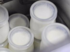 将面包机内胆取出，把布丁瓶重叠放入面包机中，使用酸奶功能，发酵8小时。时间结束后观察酸奶是否凝固。