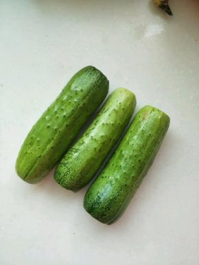 地黄瓜和水黄瓜外形不同，地黄瓜比较粗壮。