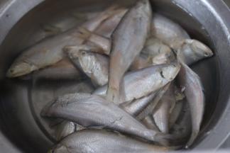 黄鲫子鱼清洗干净。