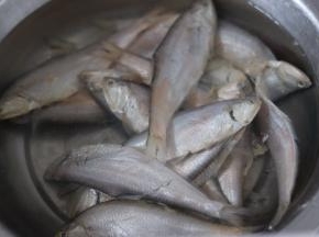 黄鲫子鱼清洗干净。