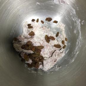 加入泡好沥干水分的葡萄干，开始揉面