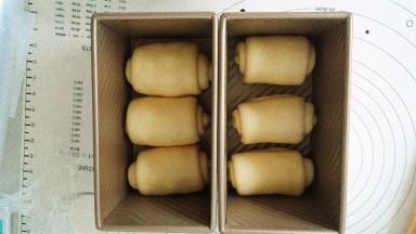 依次做好所有，收口朝下放入土司盒里，盖上保鲜膜，烤箱开启发酵功能，放入烤箱发酵，图中我只做了一个葡萄干土司，所以一个胖点一个瘦点