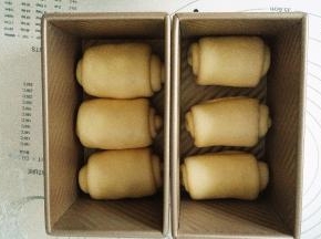 依次做好所有，收口朝下放入土司盒里，盖上保鲜膜，烤箱开启发酵功能，放入烤箱发酵，图中我只做了一个葡萄干土司，所以一个胖点一个瘦点