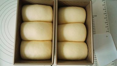 发酵55分钟至八分满，盖上盖子，烤箱预热，200℃烤45分钟