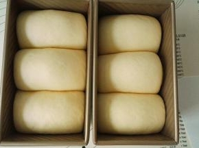 发酵55分钟至八分满，盖上盖子，烤箱预热，200℃烤45分钟