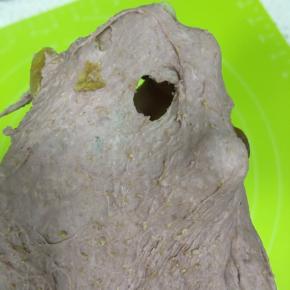 揉到扩展阶段，做小窗测试时，能拉出厚膜，但是膜会断，断开的孔边缘不光滑