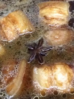 水要没过肉即可，大火烧开，转小火慢炖四十分钟，然后大火收汁