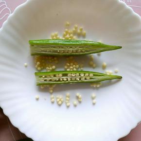 在秋葵三分之一的位置剖开，取出它的籽，装在这款陶煲王的白盘子里面有没有大珠小珠落玉盘的赶脚？