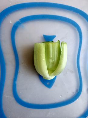 油菜洗净，从根部切3厘米左右