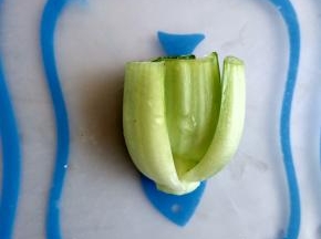 油菜洗净，从根部切3厘米左右