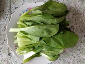 油菜洗净，去蒂