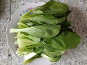 油菜洗净，去蒂