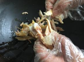 7.带上一次性手套将冷藏好的鸡撕碎，大小随自己喜欢;