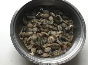 1.将花蛤放在盐水里半天吐沙；