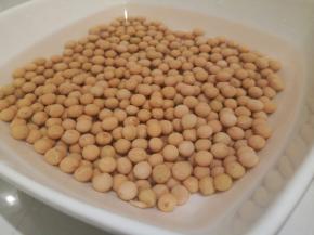 黄豆提前加水泡开