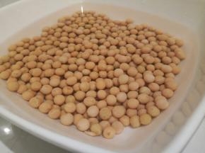 黄豆提前加水泡开