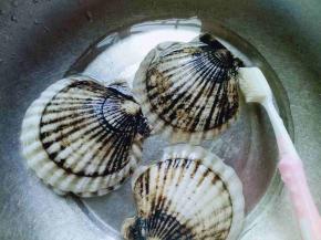 扇贝的贝壳用牙刷刷干净。