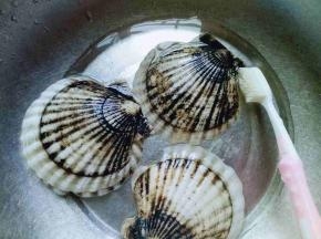 扇贝的贝壳用牙刷刷干净。