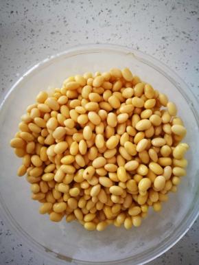 黄豆洗净泡好
