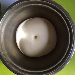 发酵到原面团的2倍，用手指沾一点面粉戳一下，不会回缩即可