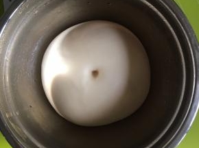 发酵到原面团的2倍，用手指沾一点面粉戳一下，不会回缩即可