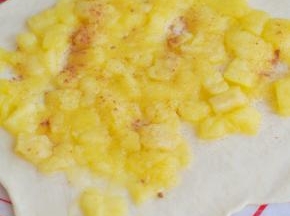 将苹果馅平铺在面皮上，撒一层肉桂粉。