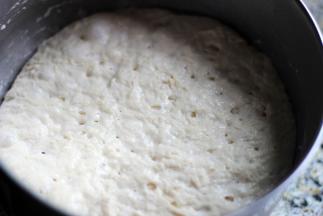 将酵头部分所有原料混合揉成面团，室温发酵至如图的蜂窝状