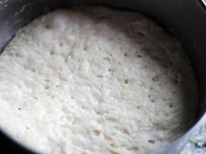 将酵头部分所有原料混合揉成面团，室温发酵至如图的蜂窝状