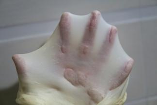 大概20分钟左右，面团就成了扩展阶段了，这时候就可以了