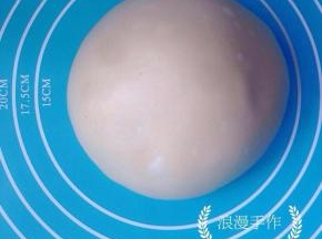 油皮的所有材料混合均匀，揉至扩展阶段，放入保鲜袋松弛一小时。