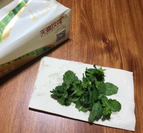 摘几片薄荷，洗干净，擦干