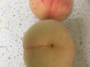 桃子选择，最好选质硬一点的，酸点的，这种桃子不仅价格便宜些，做出罐头口感也好