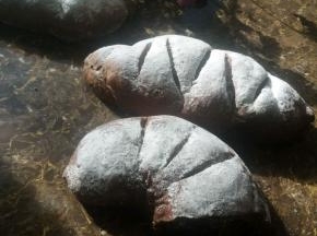 一个个大胖子