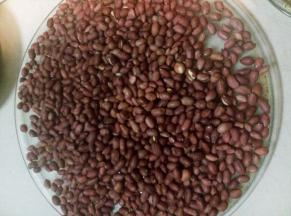 这个烤好的红衣小花生，烤好后没有先前那么漂亮了。颜色有些暗。