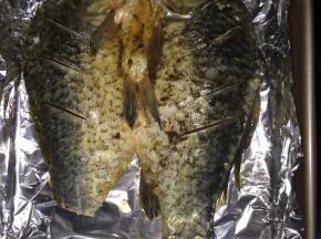 烤盘垫好锡纸，铺上腌制好的鱼，在鱼的表面刷上一层油