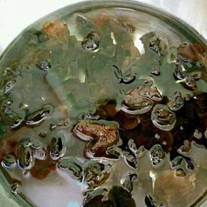 黑木耳用温水泡发，去蒂撕小，洗净。